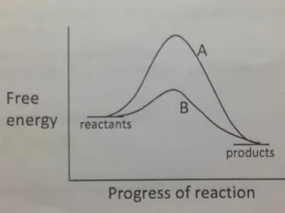 The graph shown at the top of the page depicts an:
