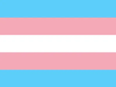 What does 'transgender' mean?