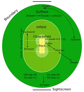 What is the standard size of a cricket ball (in centimeters)?