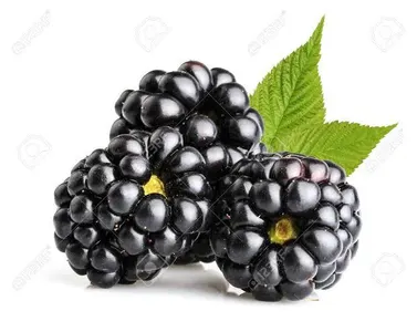 What is this fruit name