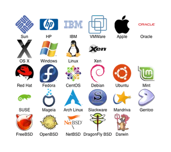 Which operating system is commonly used in gaming consoles?