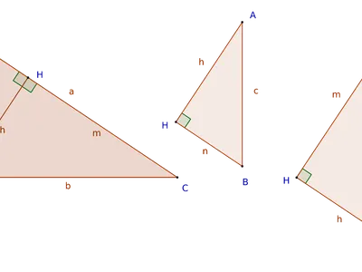 In a right triangle, which side is opposite to the right angle?