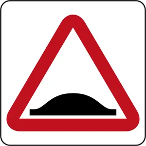 What does this sign mean?