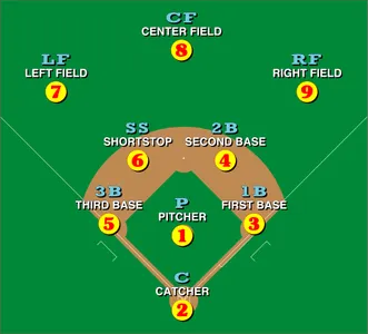 What is used by fielders to catch and field the baseball?