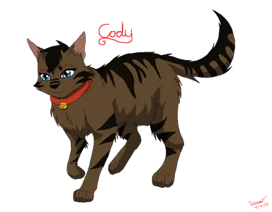 What is a Kittypet?