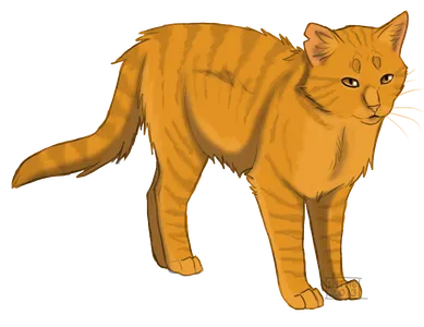 Which cat did lionblaze fall in love with?
