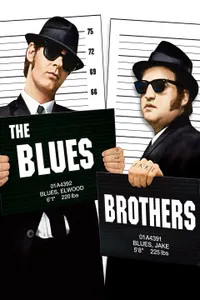 True or False...in the 80s movie, "The Blues Brothers", Chevy Chase played alongside John Belushi as the blues brothers.