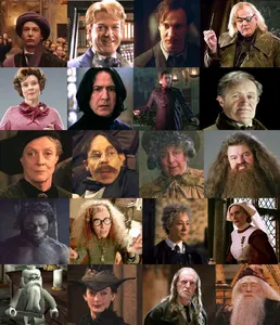Who is the DADA teacher in Harry's 7th year