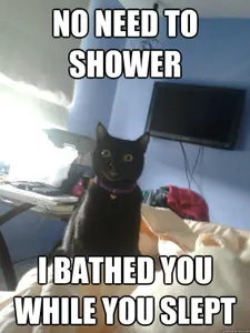 Use Loofah or use hands?