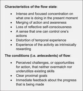 Which book introduced the concept of 'Flow'?