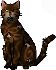 What is name of Tribe leader/med. cat?