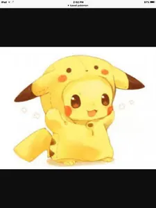 Who did ash choose?