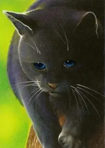 How did Crowfeather get his warrior name?