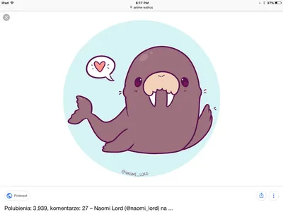 I am a walrus.