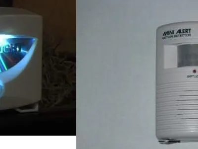 What is this? (2 words)