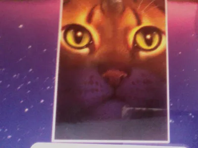 who are sandstorms kits?