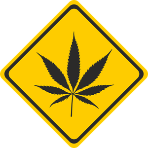 Which of the following is not a sign of schizophrenia?