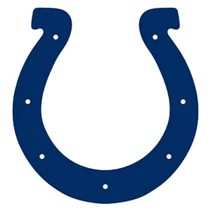 Which NFL team's logo is shown below?