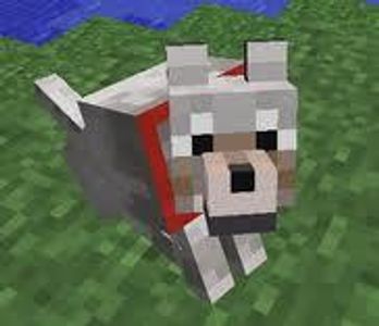 on what divice can you tern your dogs (wolf's) coller blue