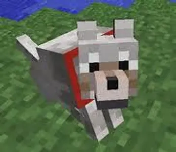 on what divice can you tern your dogs (wolf's) coller blue