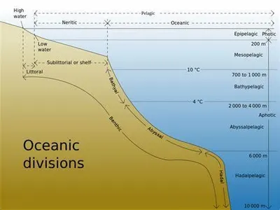 The deep-ocean trench called 'Challenger Deep' is located in which ocean basin?