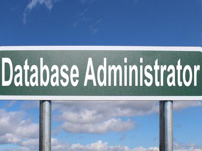 What is the primary function of a database management system?