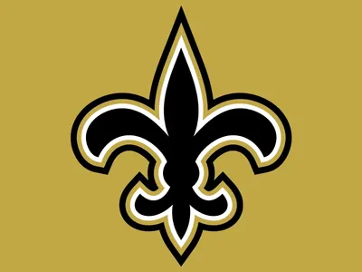 Which NFL team's logo is shown below?