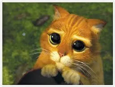 Are his eyes dilated when he talks to you?