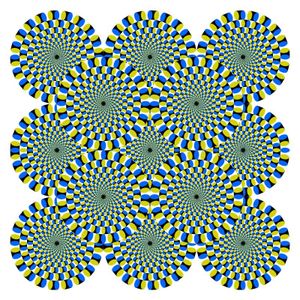 Does this picture seem to move?