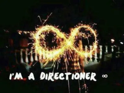 How do you know if someone is a true Directioner