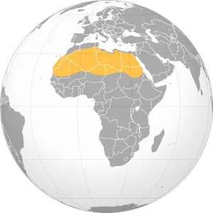 Which continent is home to the Sahara Desert?