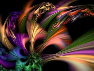 What are my favorite colors?