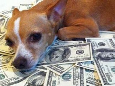 If someone offered you £120000 or offered you a hurt dog what will you take
