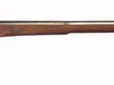 What where the names of the two most used weapons of the early Civil War.