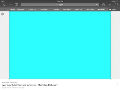 What color is this?