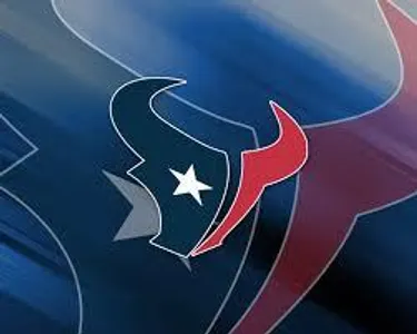 Which NFL team's logo is shown below?