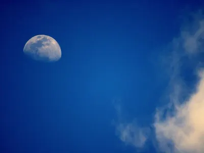 The Moon can be seen during the night sky only. True or false?
