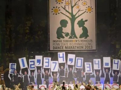 What THON organization am i in?