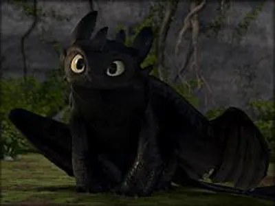 what type of dragon is toothless (how to train your dragon)