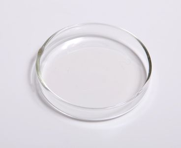 What is a petri dish used for in microbiology?