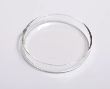 What is a petri dish used for in microbiology?