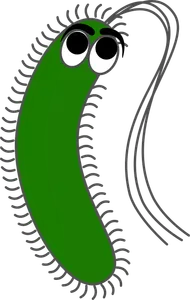 What type of microorganism are bacteria?