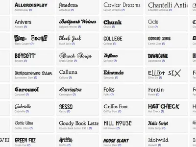 Which font is known for its clean and modern appearance, often used for resumes and websites?