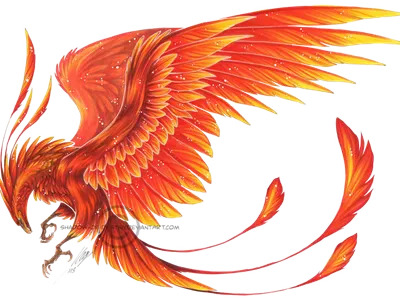What symbol does a phoenix typically represent?