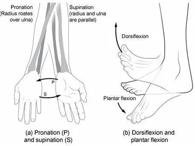 In Ballroom dancing, what is the term for a quick turn on one foot?