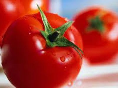 Is a tomato a fruit or a veggie