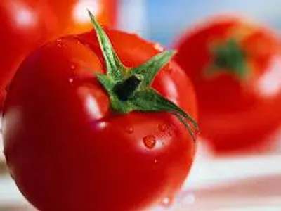 Is a tomato a fruit or a veggie