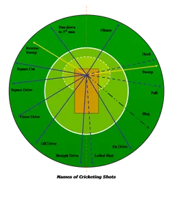 Which of the following is a basic fielding position in cricket?