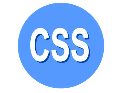 What does CSS stand for?