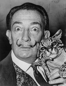 Which prestigious art school did Dali briefly attend?